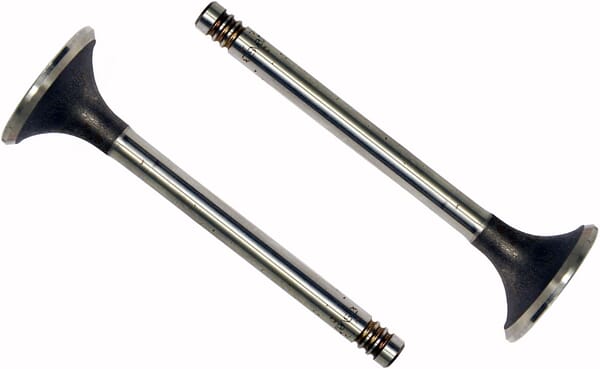 BPA000389305