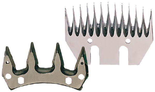 BPA000395505