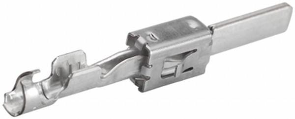 BPA000196251