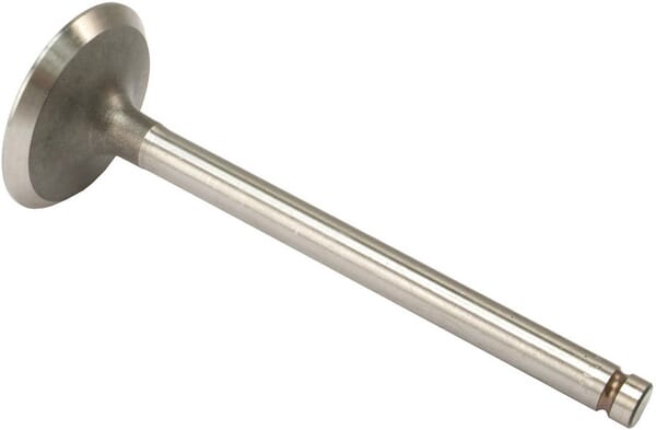 BPA000389261
