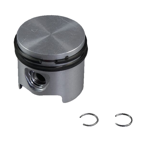 BPA000072081