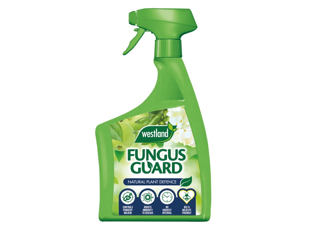 Westland Fungus Guard Ready To Use 800ml - Image 8