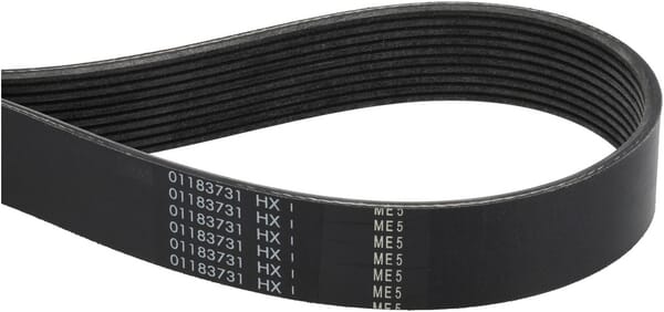 BPA000267019