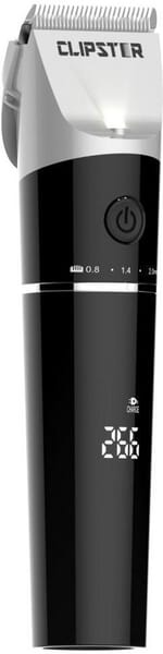 BPA000061095