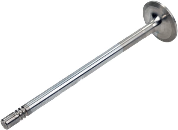 BPA000017253