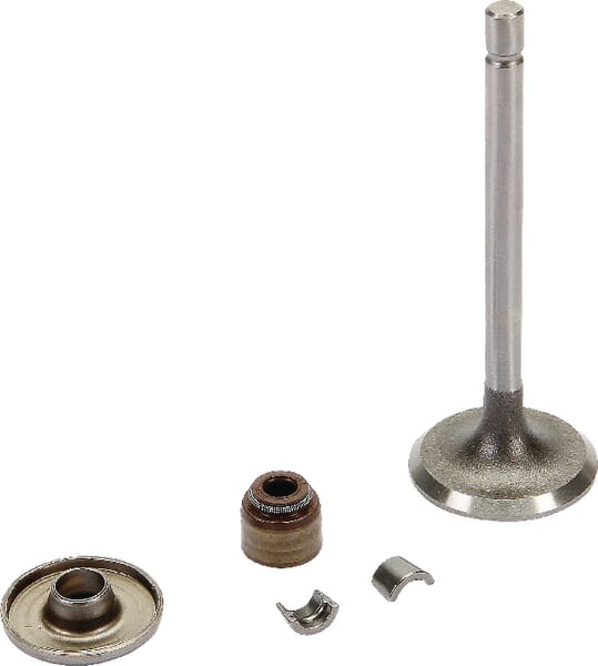 BPA000185613