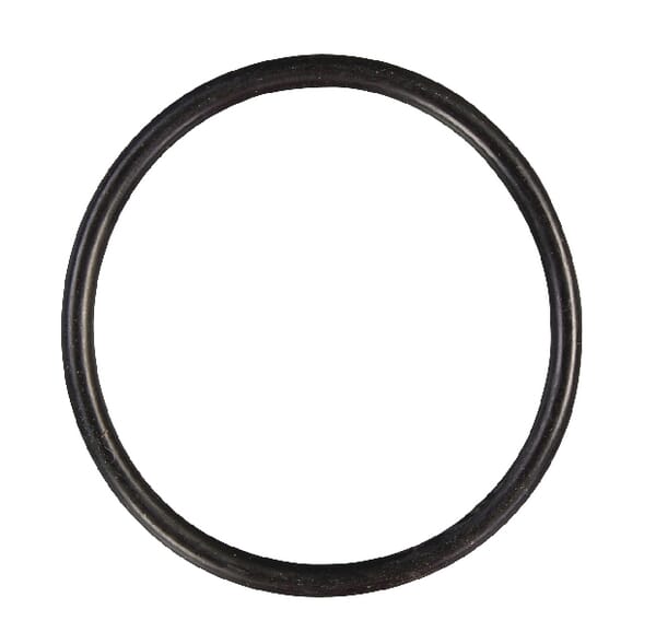 BPA000249211