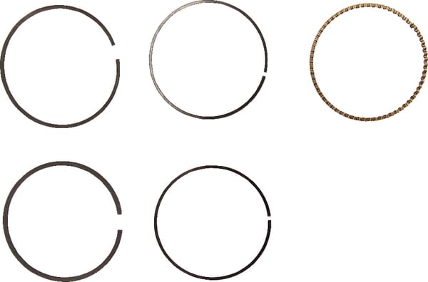 BPA000263516