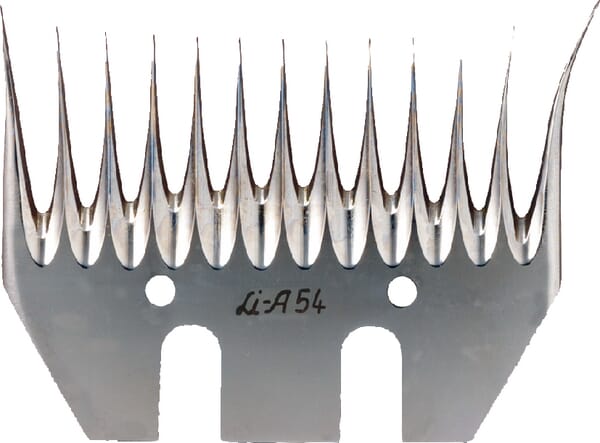 BPA000047735