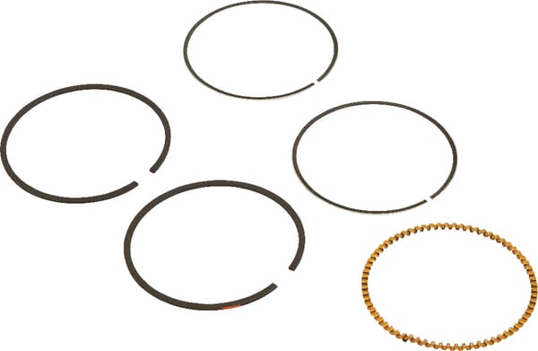BPA000146310
