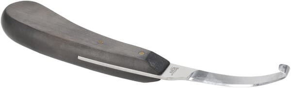 BPA000287419