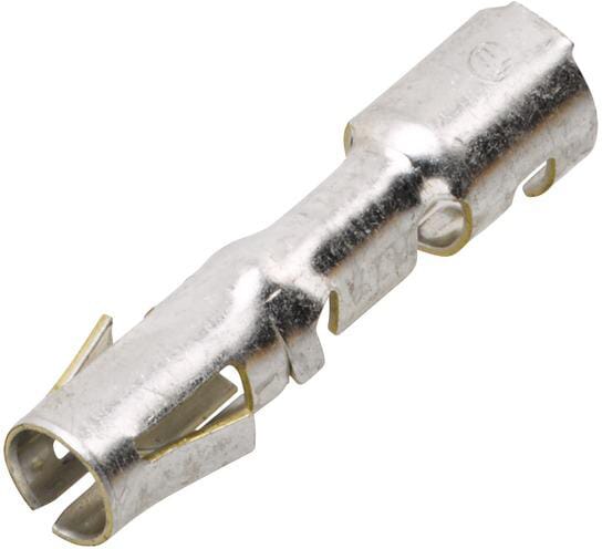 BPA000196095