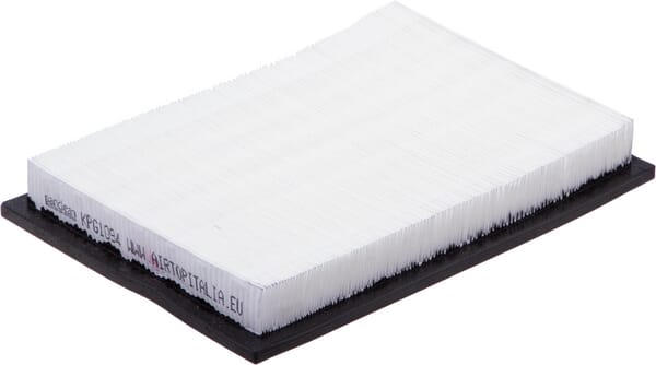 BPA000301317