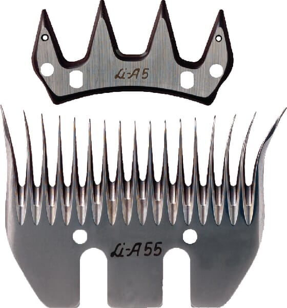 BPA000047736
