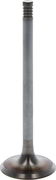 BPA000014702
