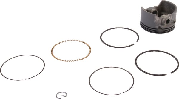 BPA000146309