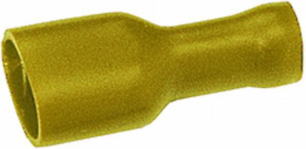 BPA000196221
