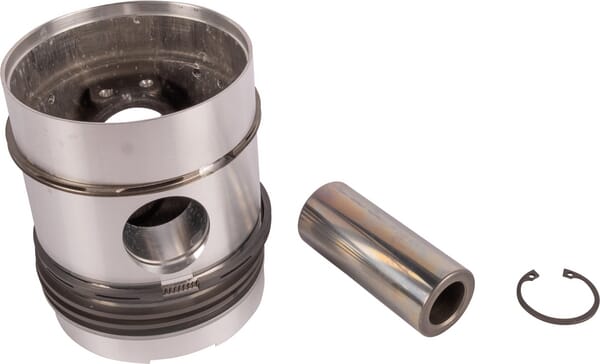 BPA000012239