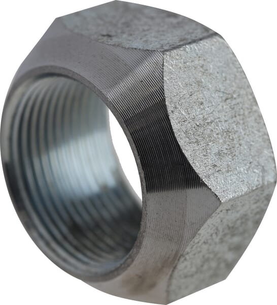 Strautmann Tine nut for 23201502 86500485