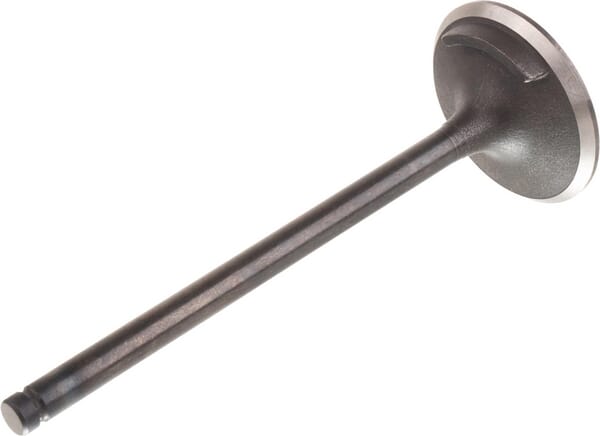 BPA000125498