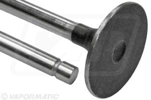 BPA000389229