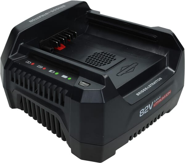 Briggs & Stratton Battery charger 220v 1760264