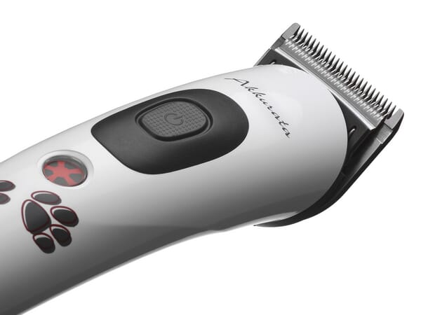 BPA000287393