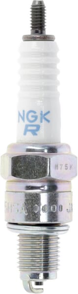 BPA000205739