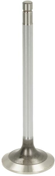 BPA000389241