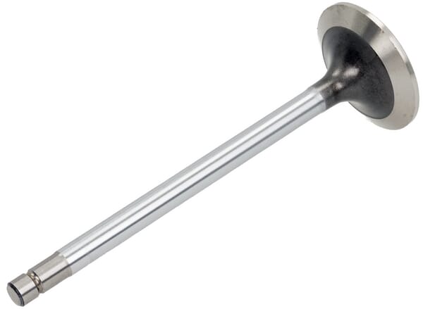 BPA000389241