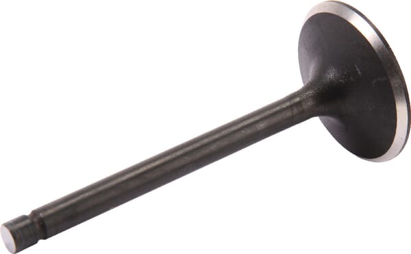 BPA000229529