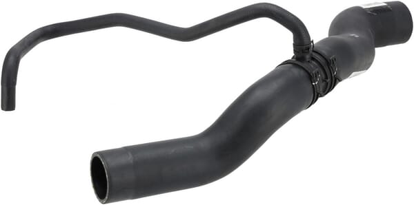 BPA000291440