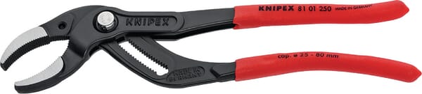 BPA000368743
