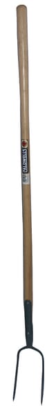 BPA000260736