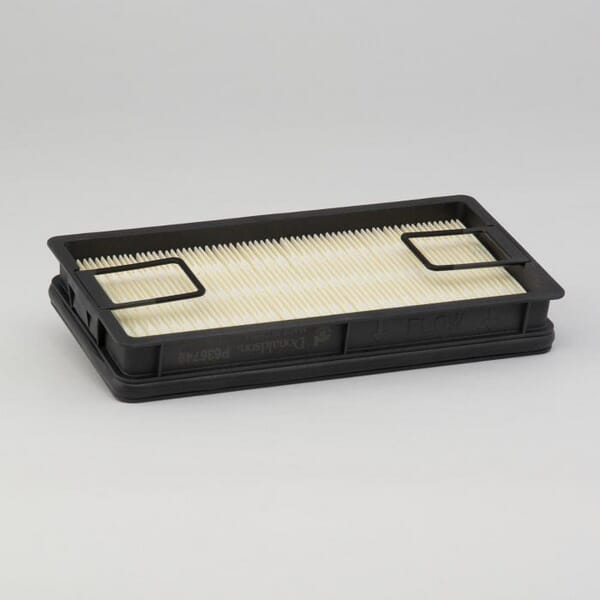 Donaldson Air filter, safety P636749