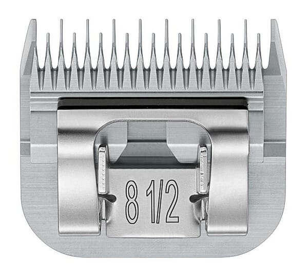 BPA000287387
