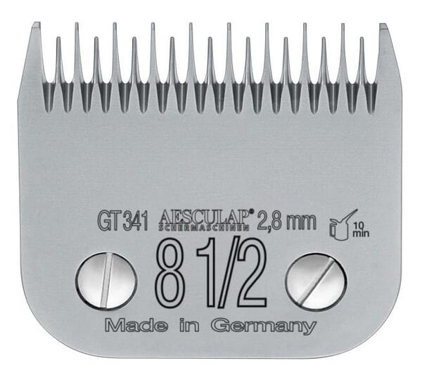 BPA000287387