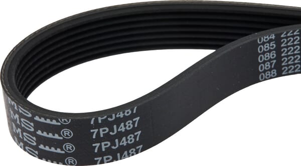 BPA000111199
