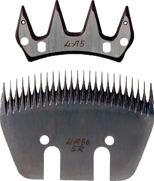 BPA000047737