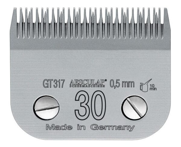 BPA000287384