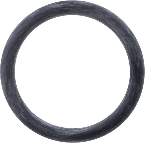 BPA000205261