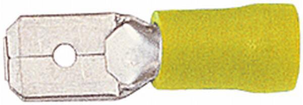 BPA000196180