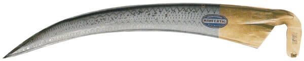 BPA000262706
