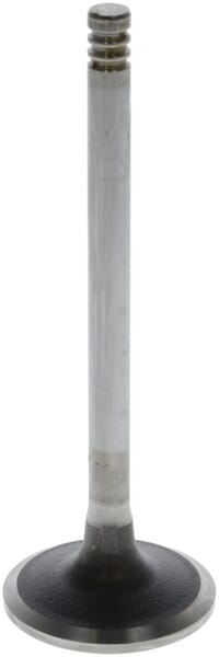 BPA000014981