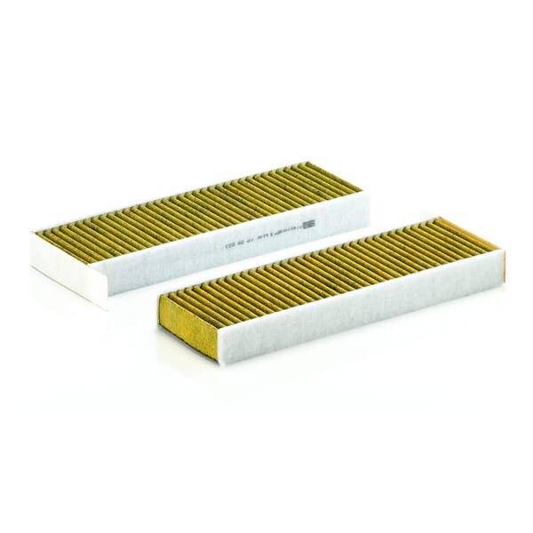 BPA000279310