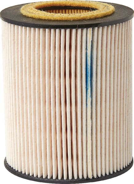 BPA000333231