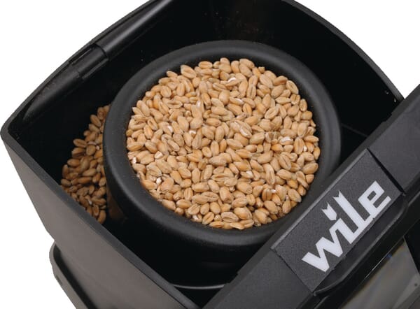 BPA000159933