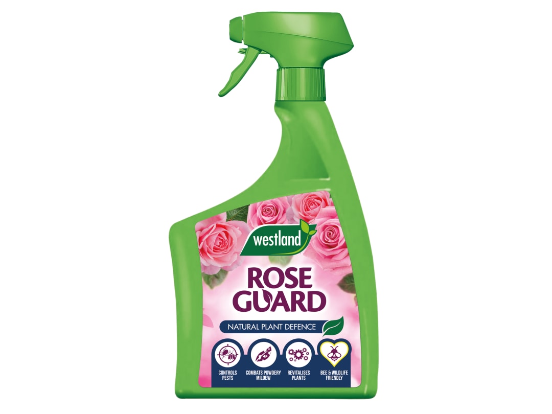 Westland Rose Guard Gardening Natural Rose Guard 800ml Spray RTU - Image 5
