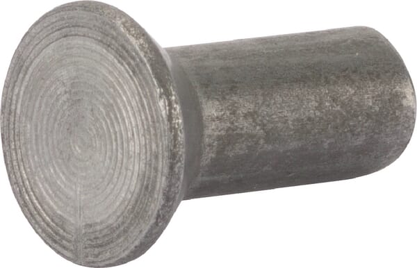 BPA000229219