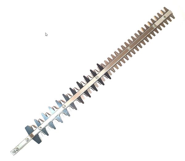 BPA000167448